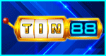 TIN88