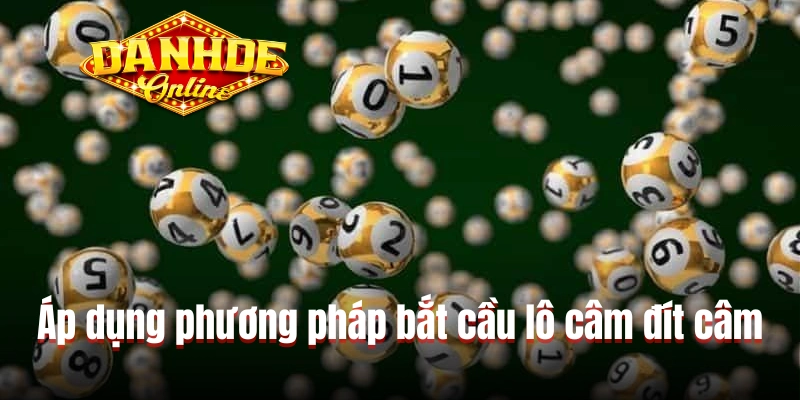 Áp dụng phương pháp bắt cầu lô câm đít câm Áp dụng phương pháp bắt cầu lô câm đít câm